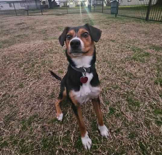 Photo of Bagel