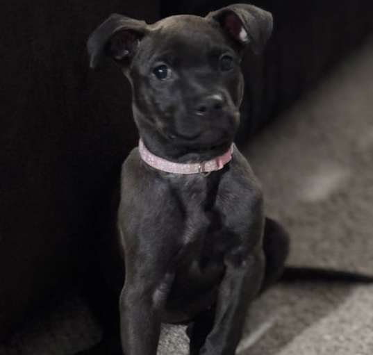 Photo of Mary Puppins 0522