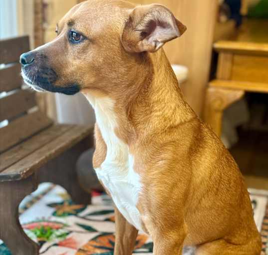 Photo of Duke