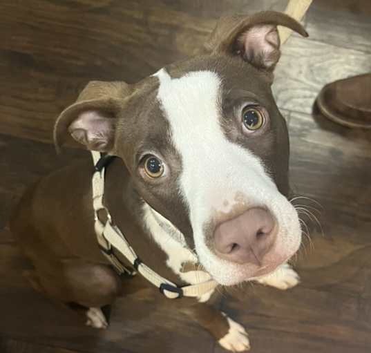 Photo of Gatsby