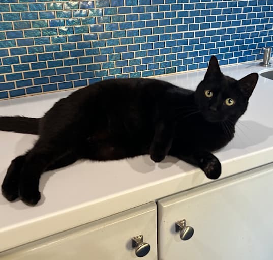 Photo of Gertie