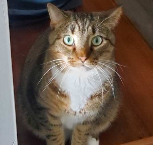 Photo of Max