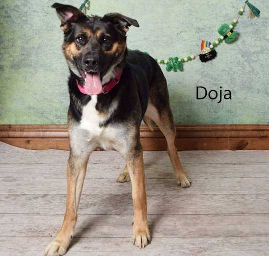 Photo of Doja