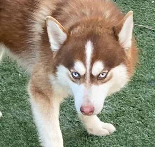 Photo of Timber