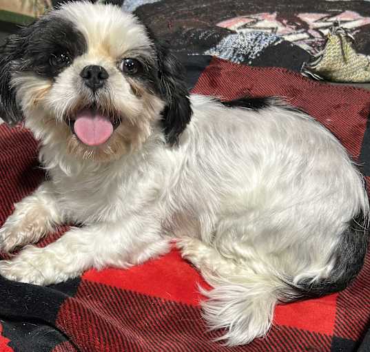 Photo of Lil’ Linda