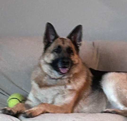 Photo of Dutchess