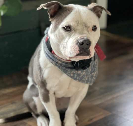 Photo of Maya