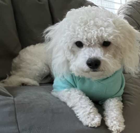 Photo of Mellow