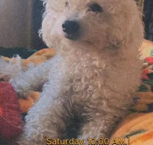 Photo of Wally