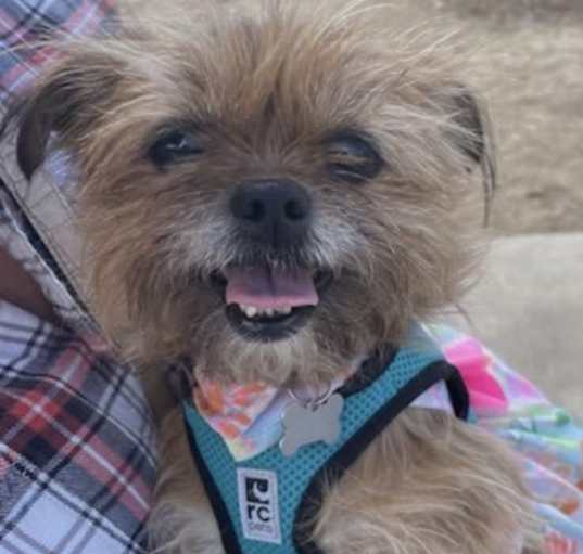 Photo of GINGER