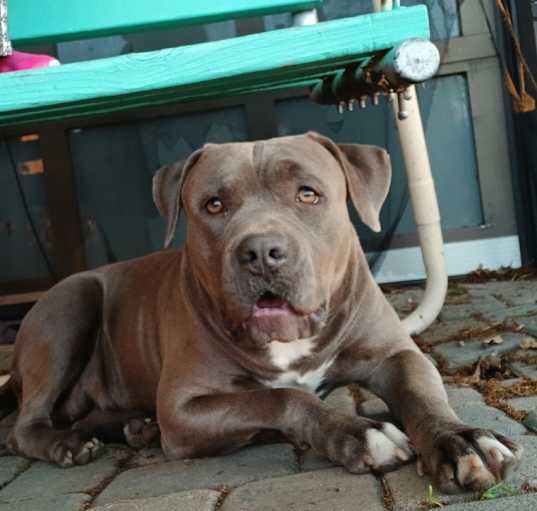 Photo of Chiquis