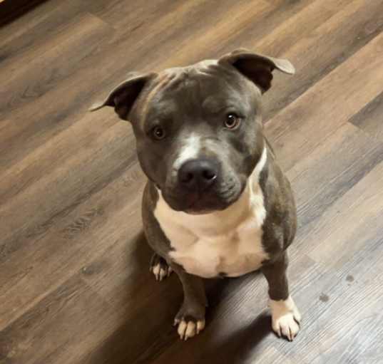 Photo of Cash