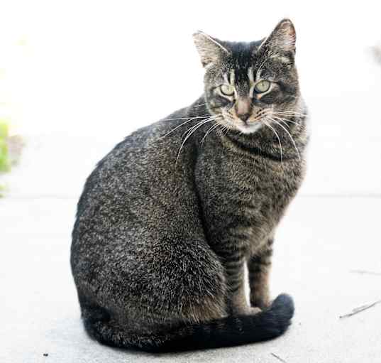 Photo of Simone