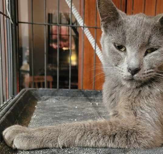 Photo of Poptart (A0057907903)