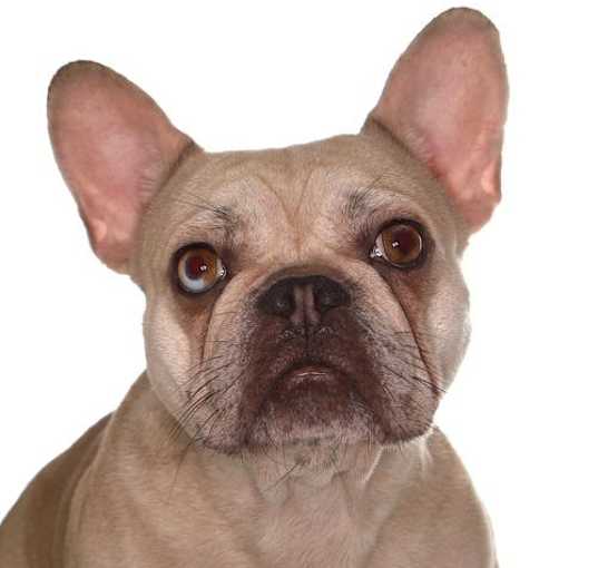 Photo of Lorena