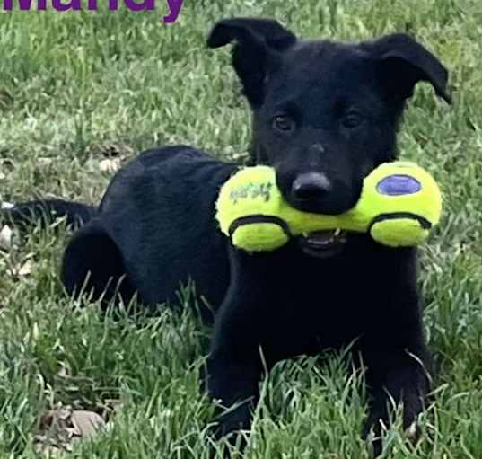 Photo of Mandy