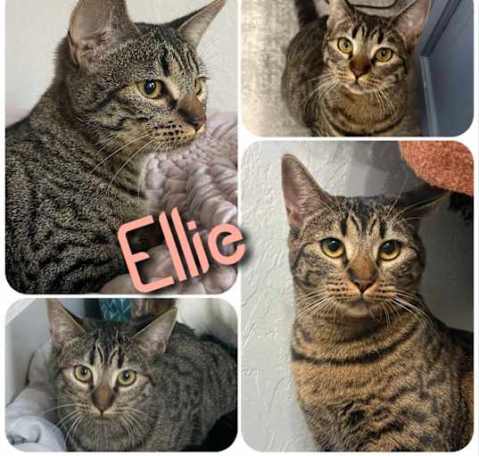 Photo of Ellie