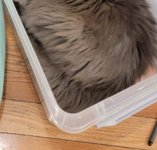 Photo of Baby blue