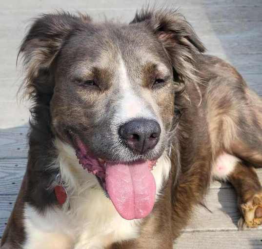 Photo of Finnik (bonded with Belle)