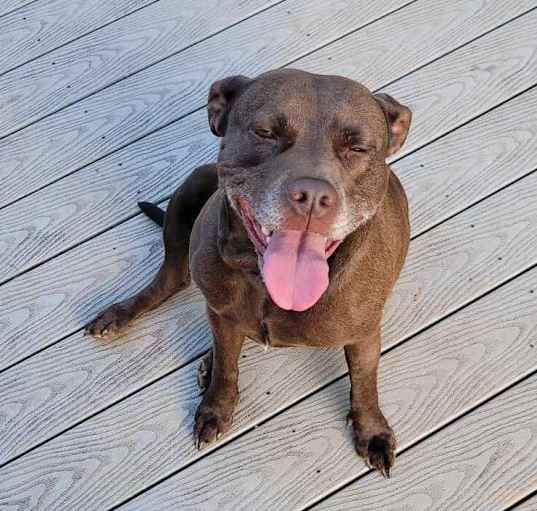 Photo of Belle (bonded with Finnik)
