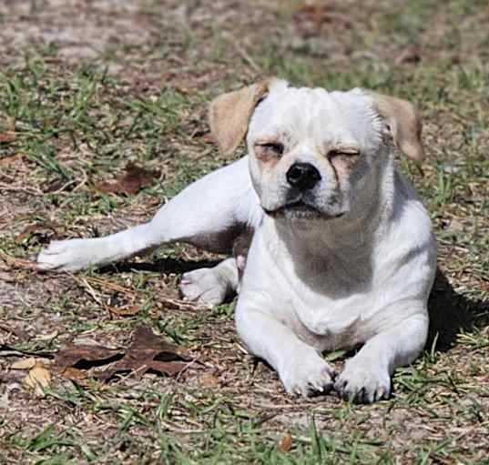 Photo of Sonny