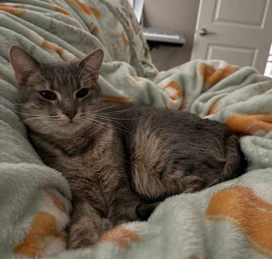 Photo of Neo
