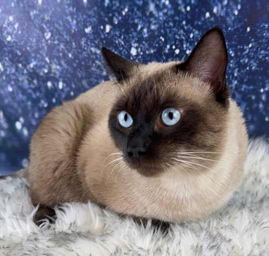 Photo of Gravy(Wish)