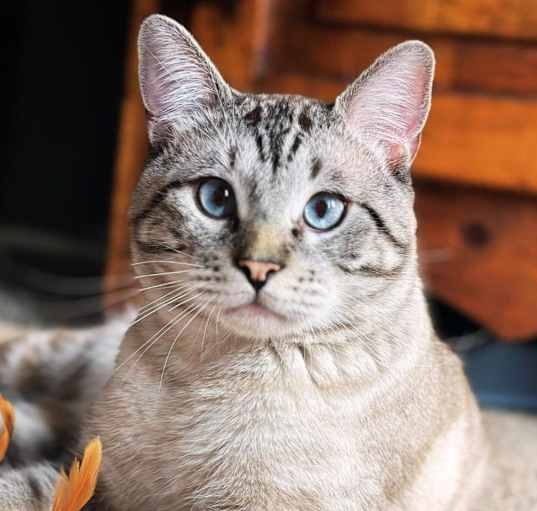 Photo of Kahn