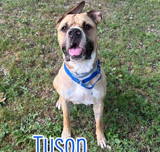Photo of Tyson