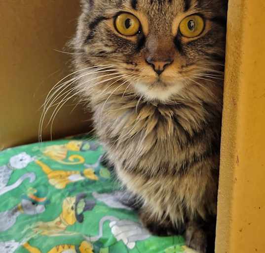 Photo of Wednesday