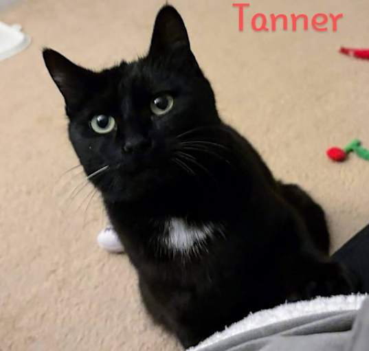 Photo of Tanner