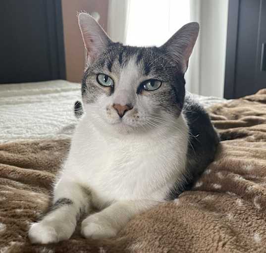 Photo of Piper