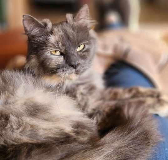 Photo of Sally