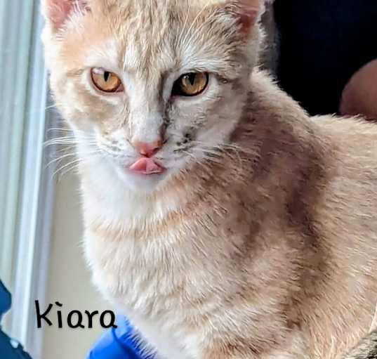 Photo of Kiara