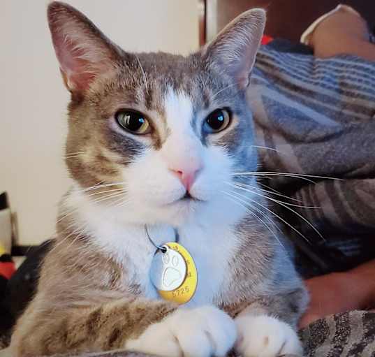 Photo of Fuzzburt
