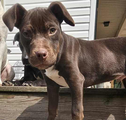 Photo of Tank