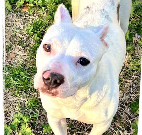 Photo of Polly