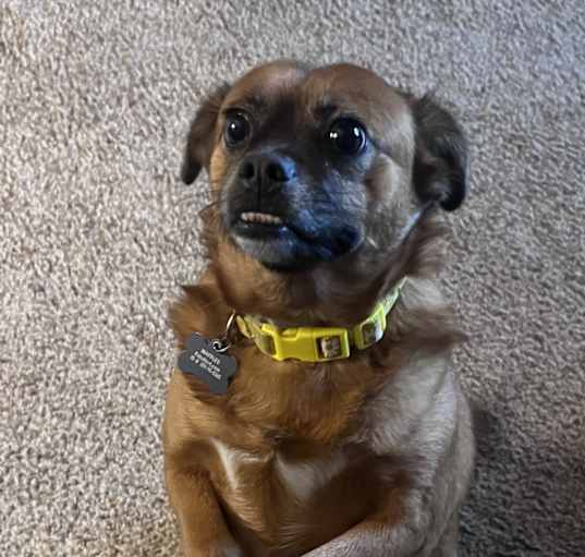 Photo of Waffles