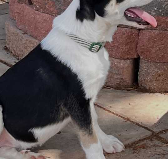 Photo of Jack
