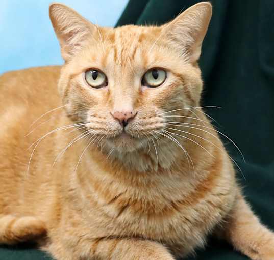 Photo of Sammy