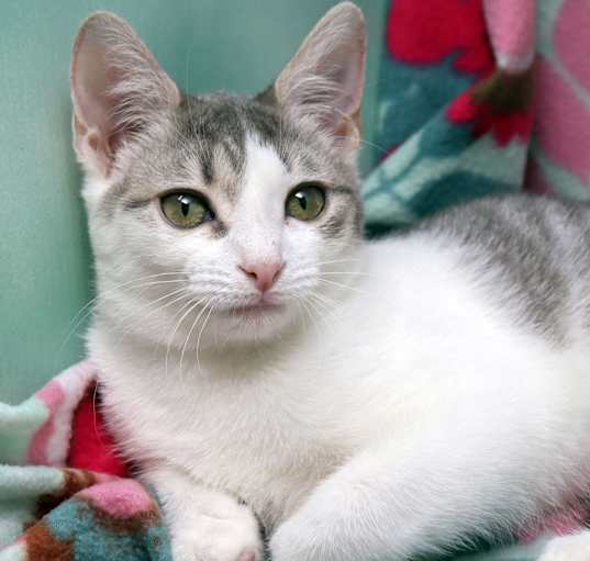 Photo of Chloe