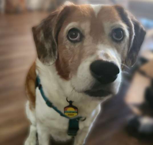 Photo of Derby