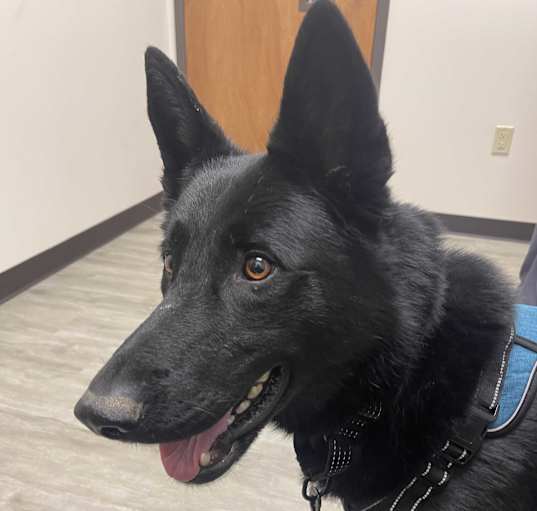 Photo of Remington