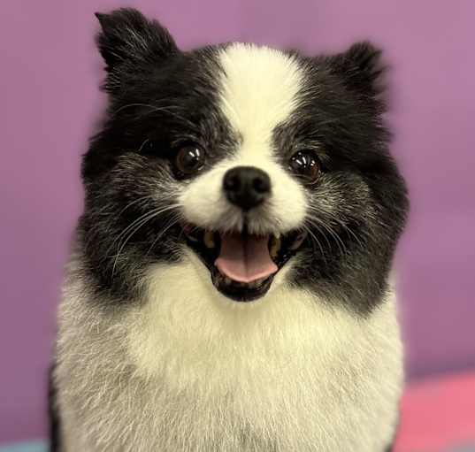 Photo of Kayla