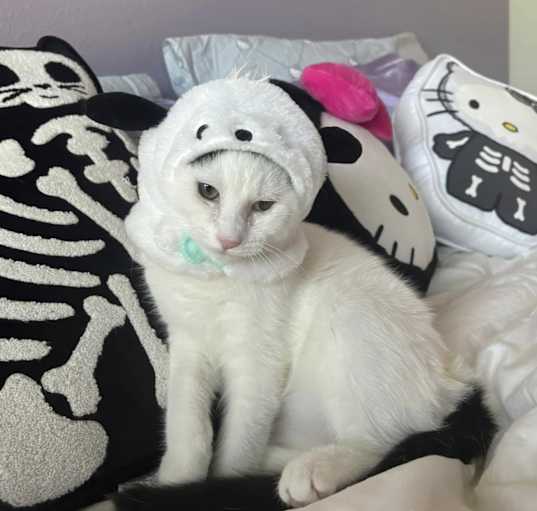 Photo of Gigabyte