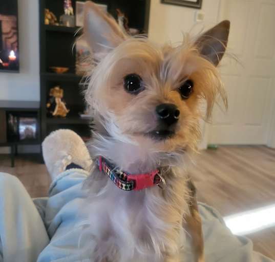 Photo of Tedi