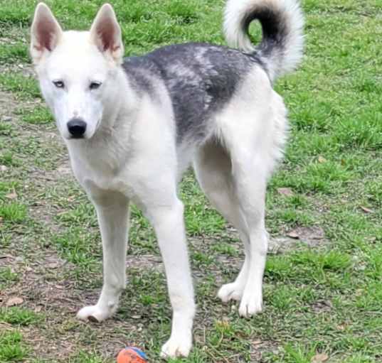 Photo of Aspen