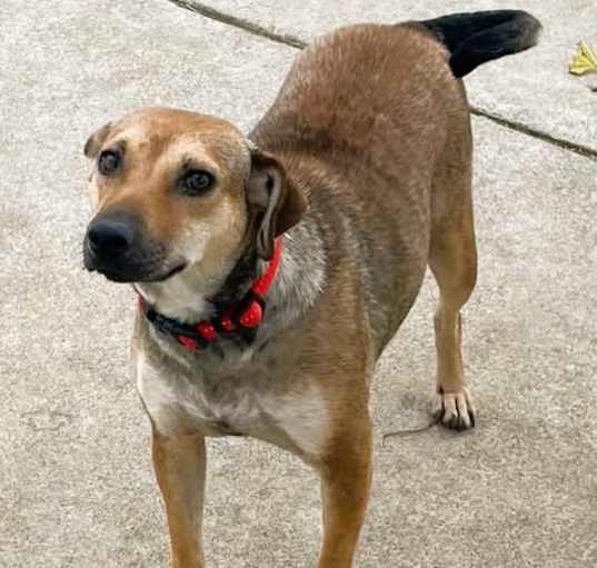 Photo of WILMA