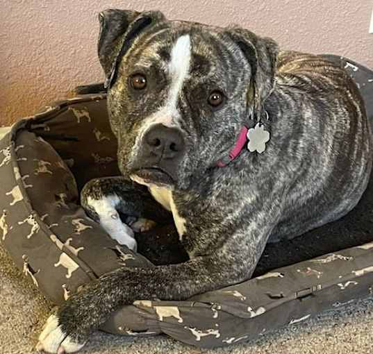 Photo of Lucy