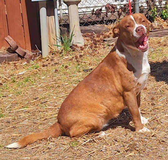Photo of 250389  Reese
